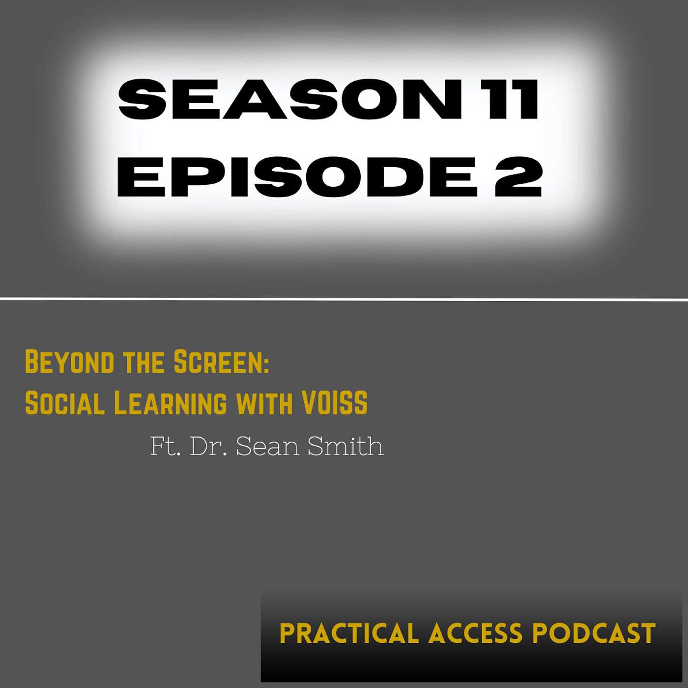 S11: E2 Beyond the Screen: Social Learning with VOISS in VR environments with Dr. Sean Smith