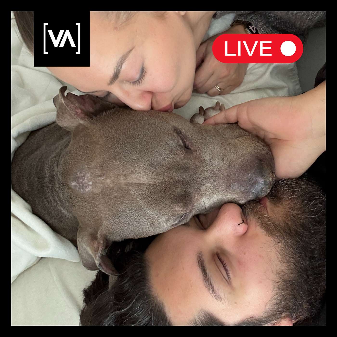 Vito war tot – und wir haben es live geteilt - Episode 8