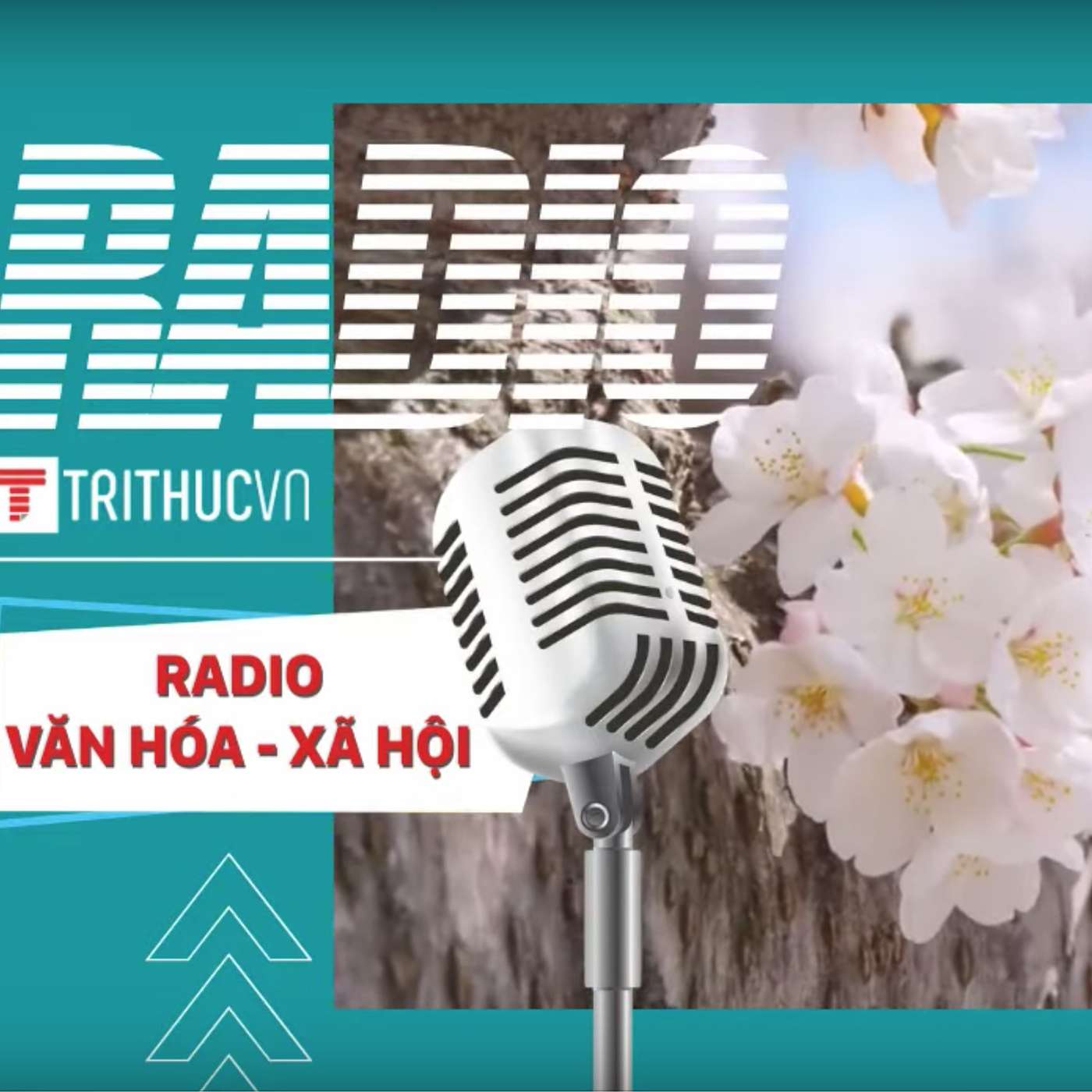 TRITHUCVN\'s Podcast