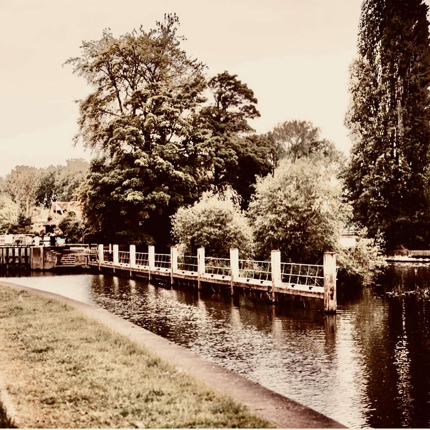 Gretel le Maître Ponders Beauty, with Bede & other guests