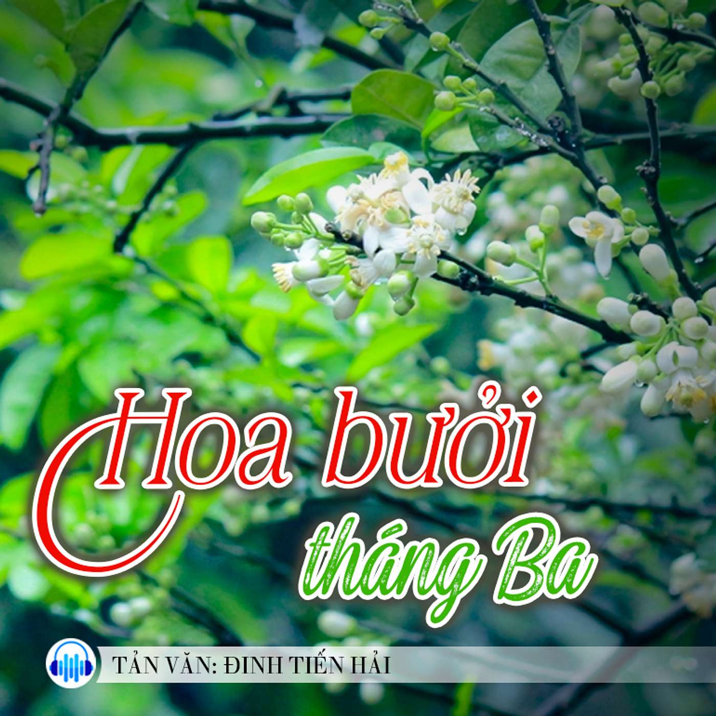 TẢN MẠN NINH BÌNH