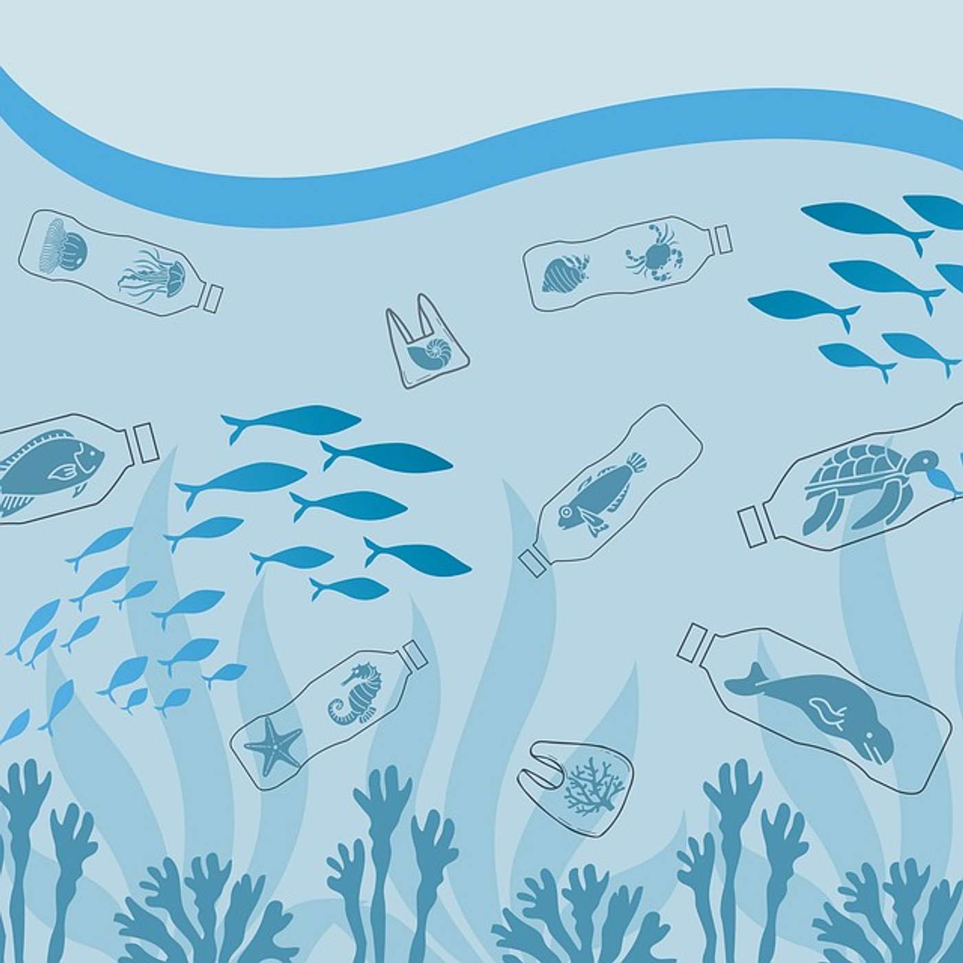 235_The Dangers of Microplastics and How to Avoid Them