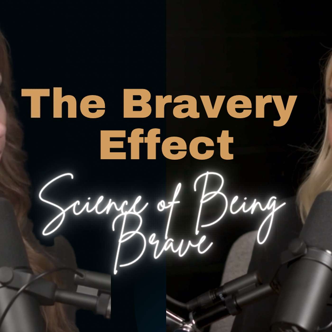 The Bravery Effect | Jill Shulman