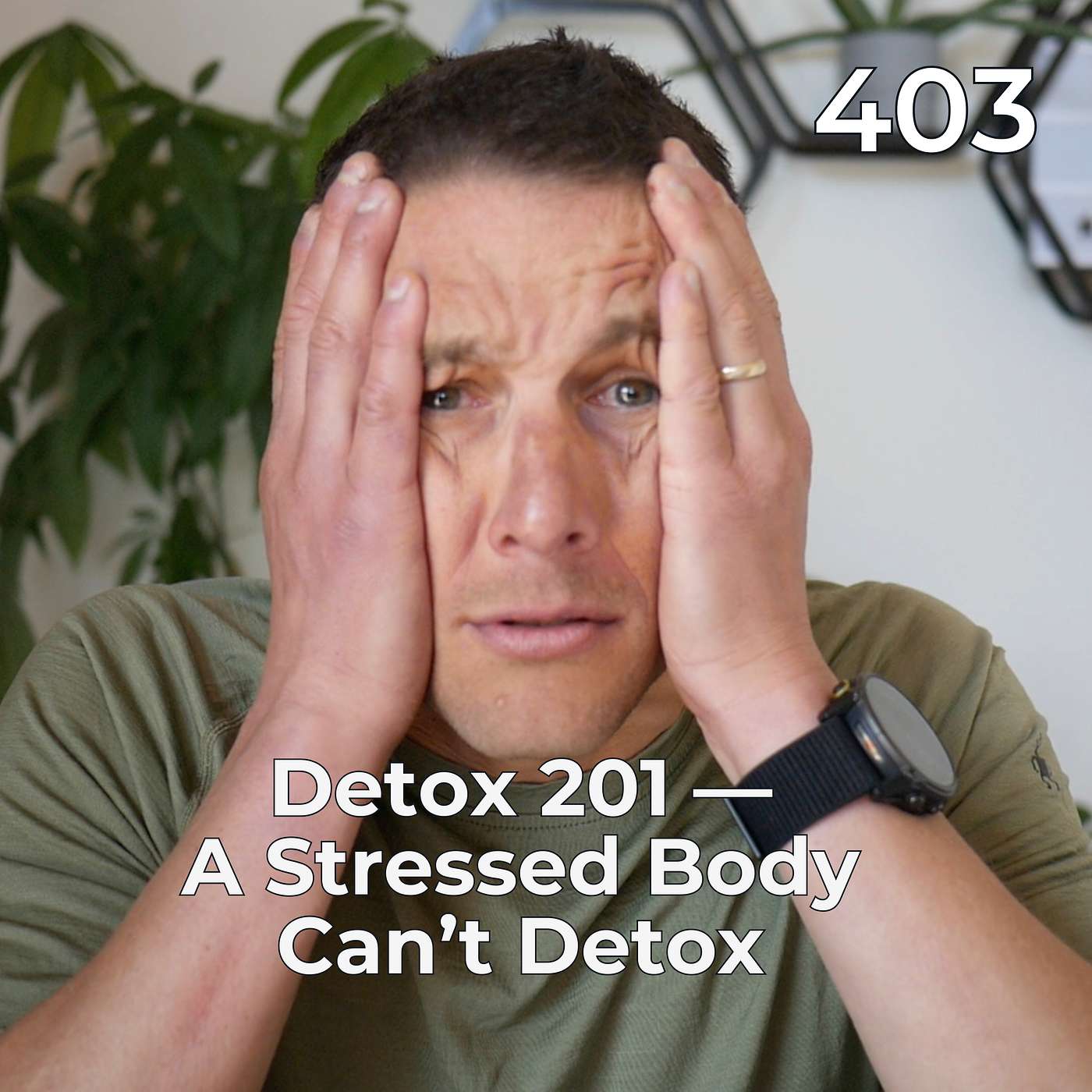 #403 - Detox 201 — A Stressed Body Can’t Detox