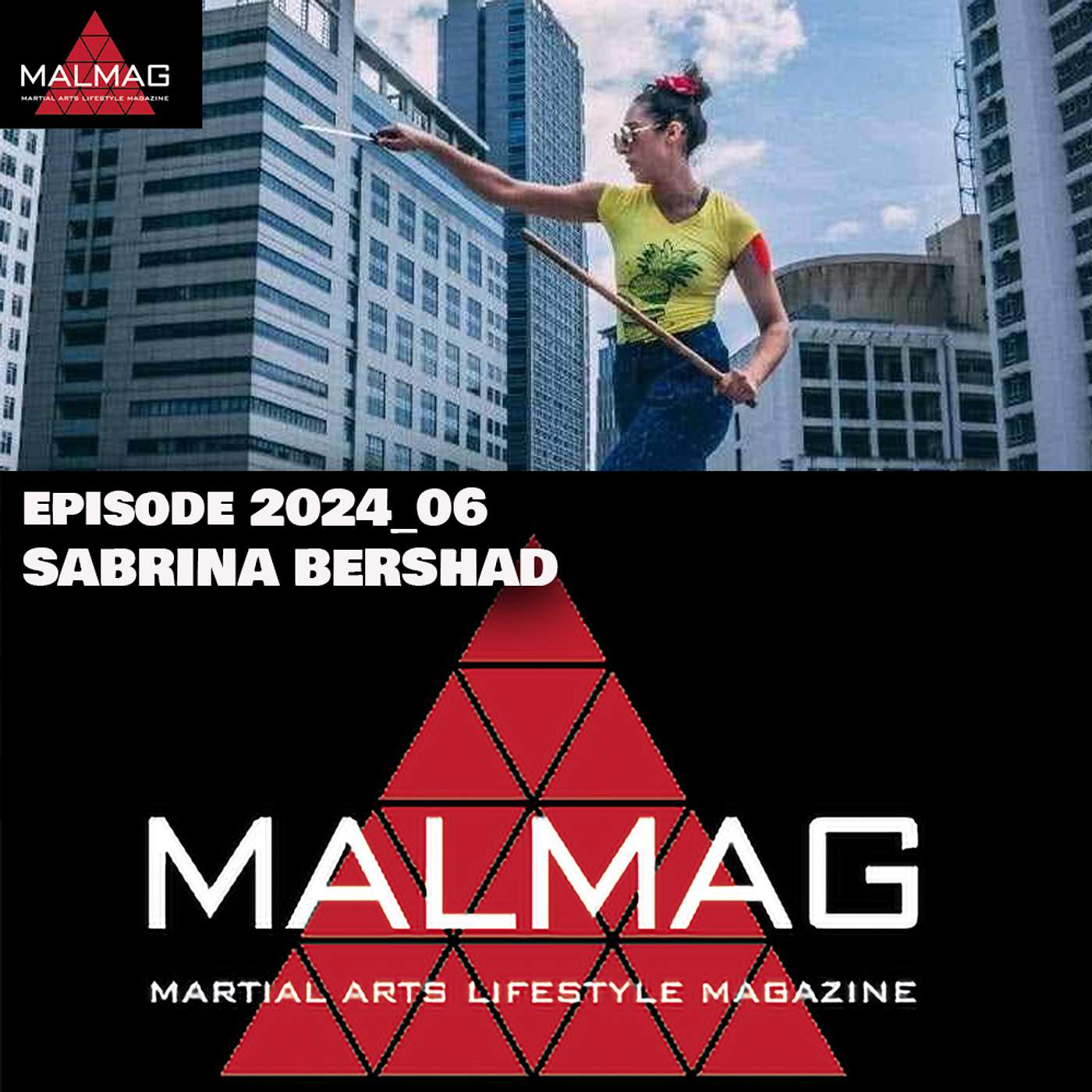 The Martial Arts Lifestyle Podcast