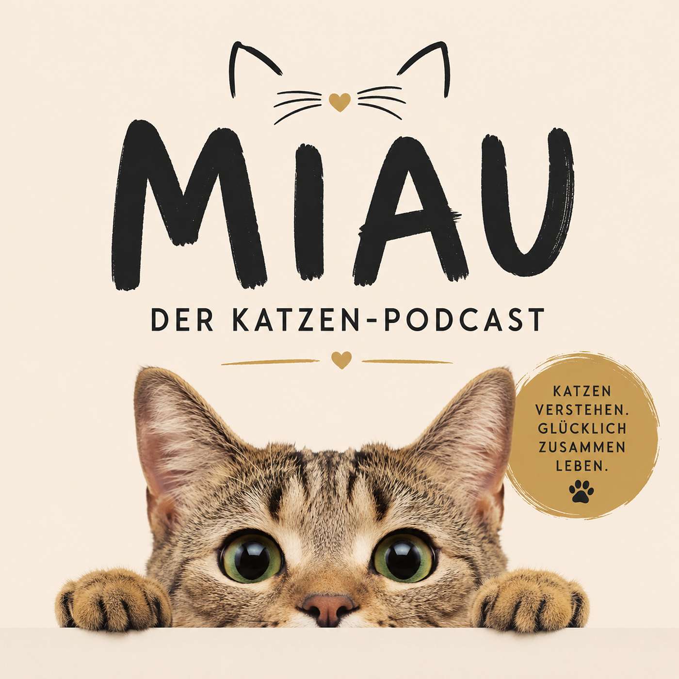 Katzen