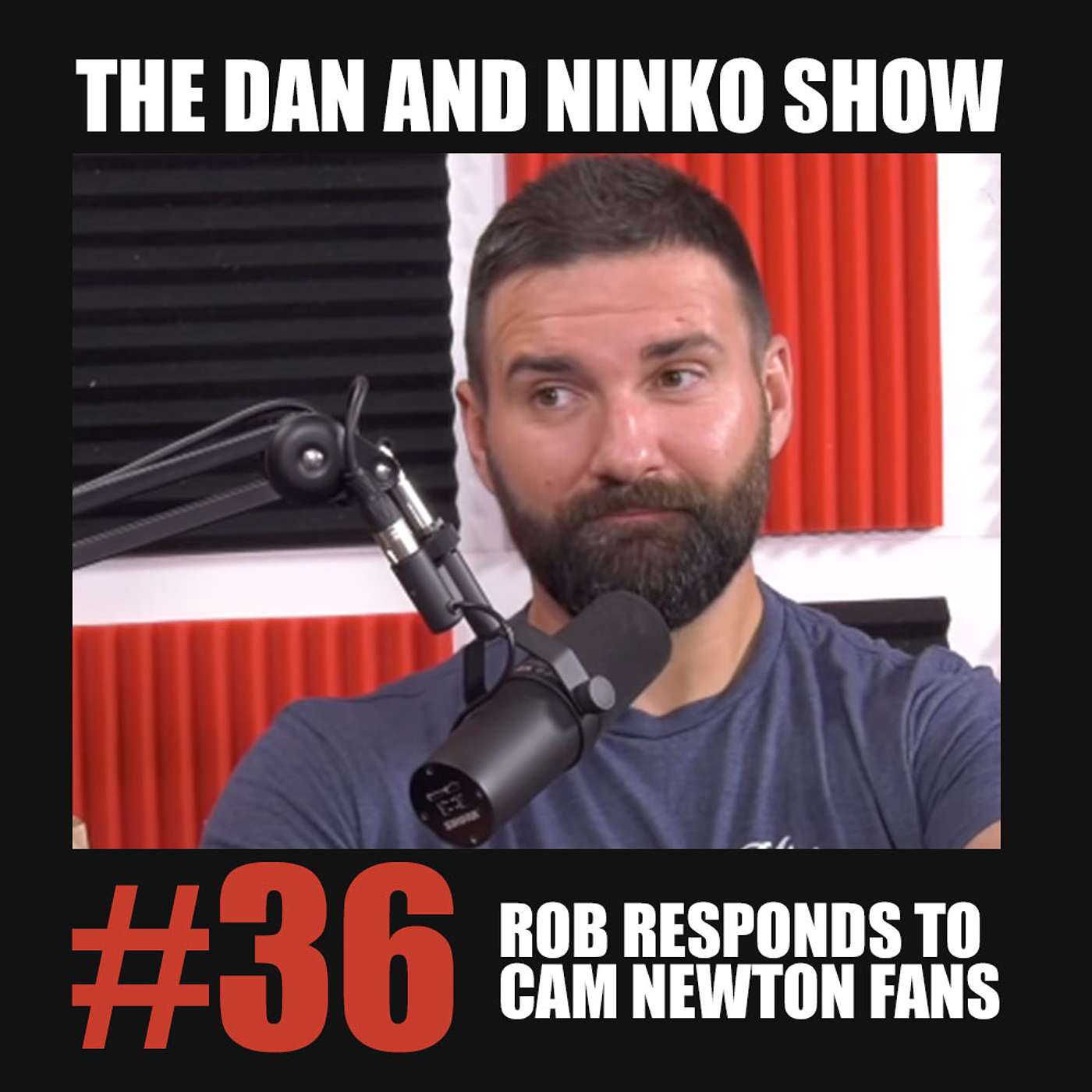 The Dan and Ninko Show