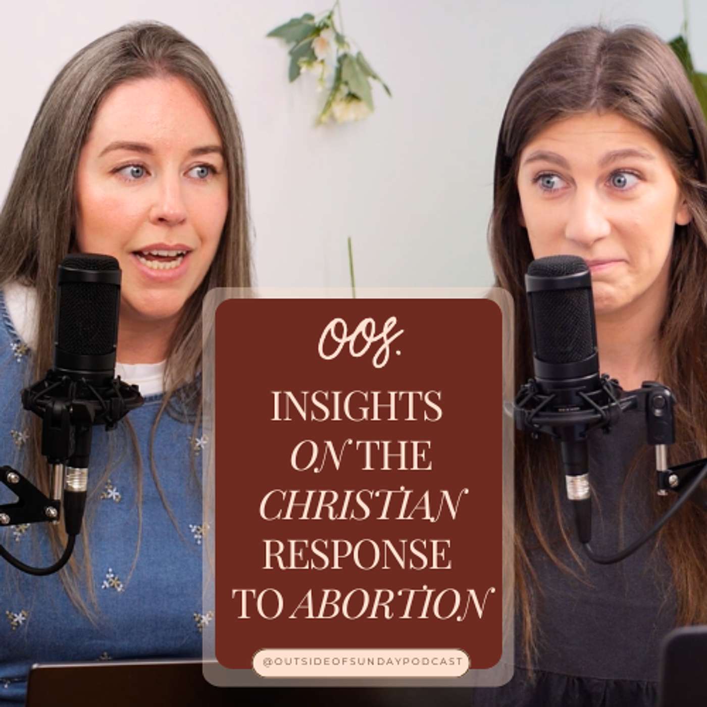 Episode 176 - Insights on The Christian Response to Abortion