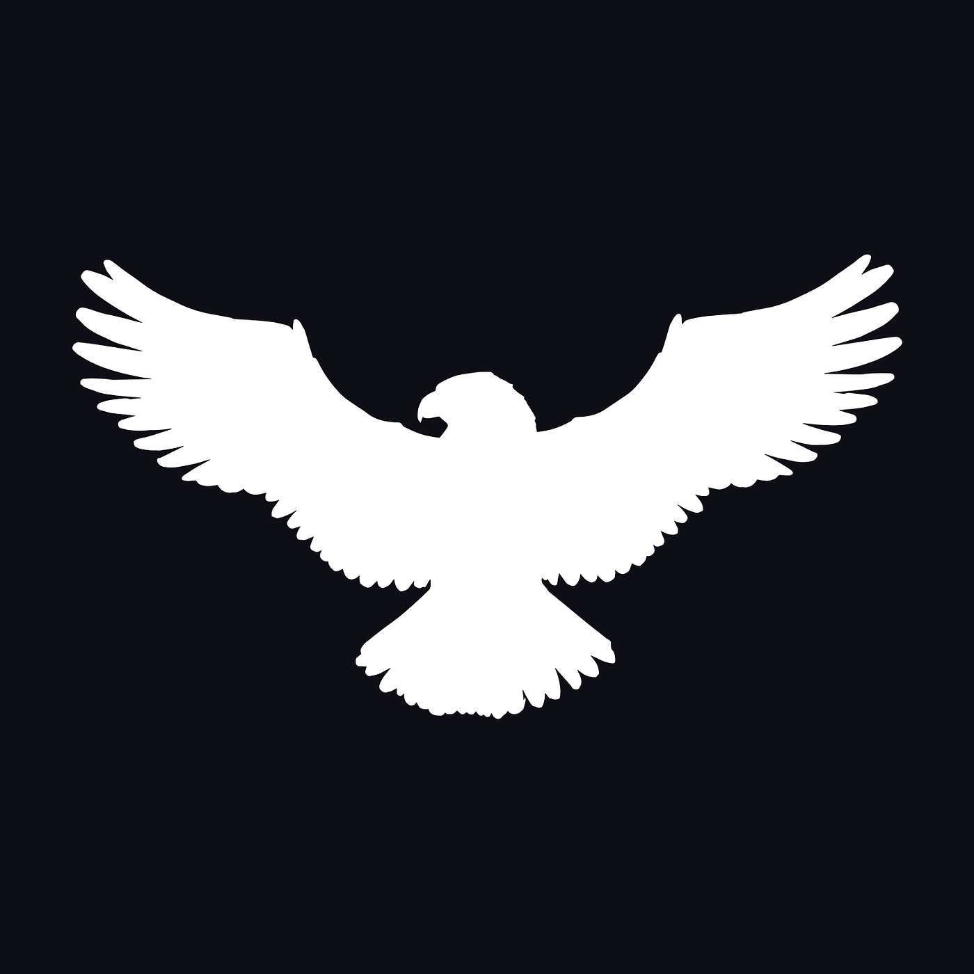 The White Falcon Podcast cover art