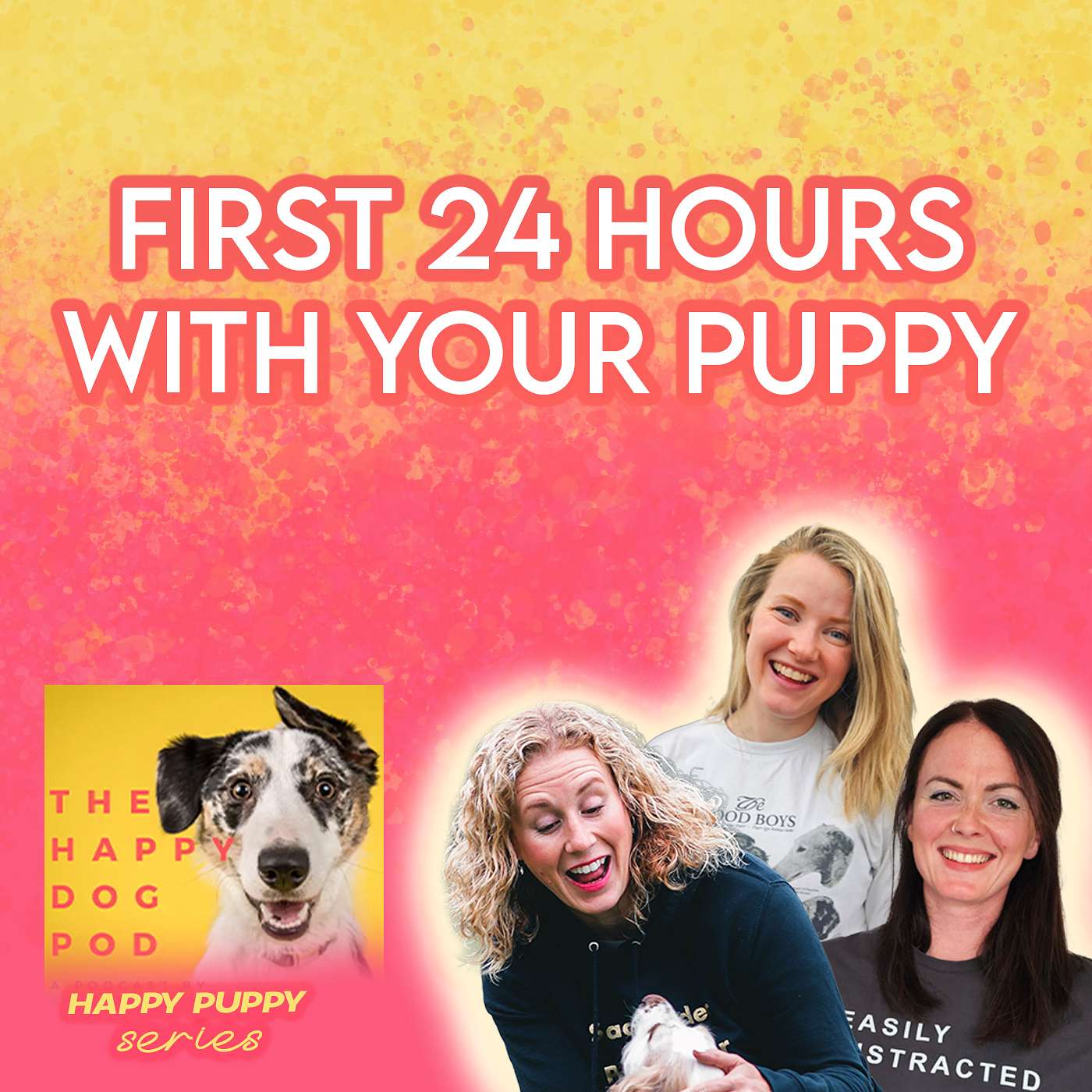 How to survive the first 24 hours with your new puppy!