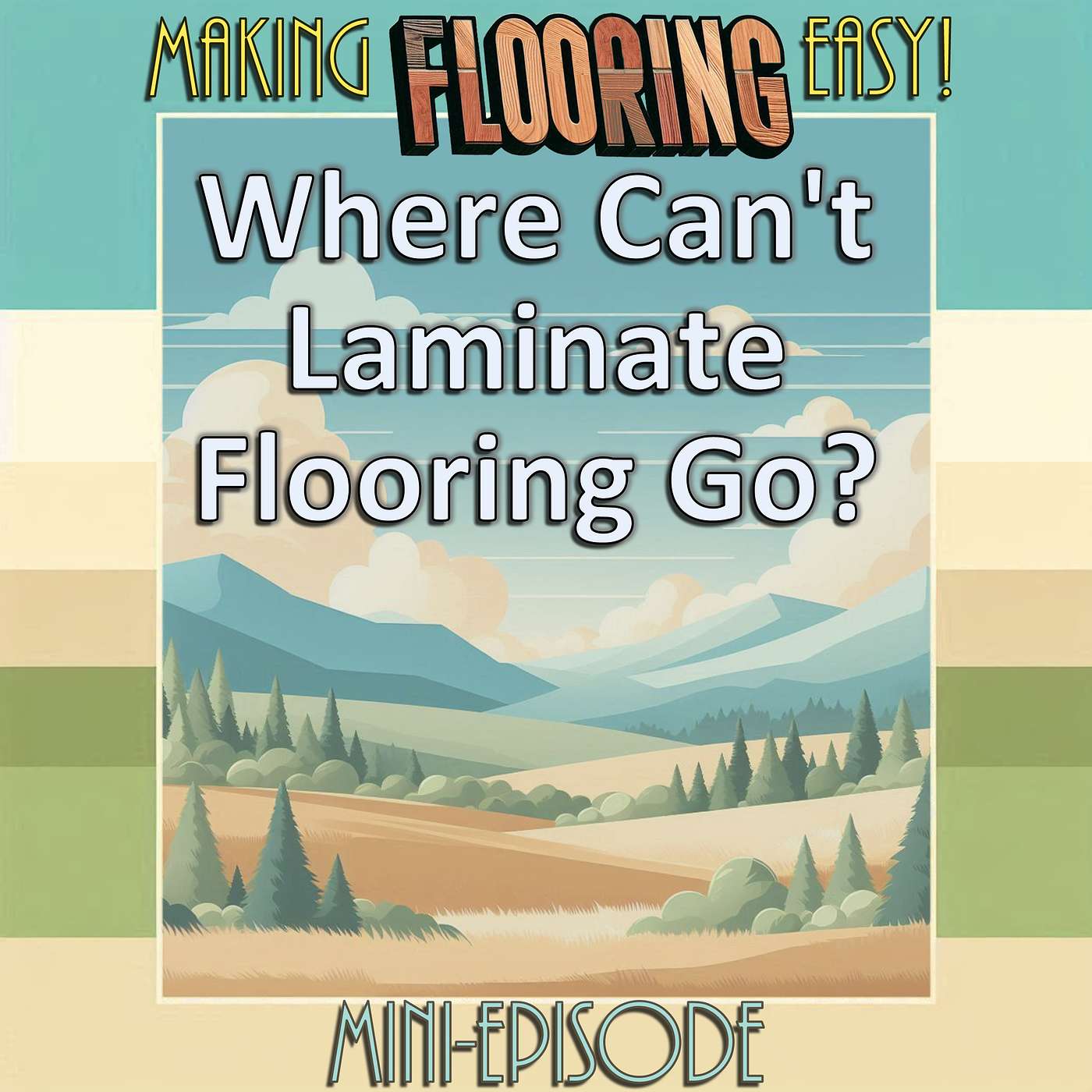 FLOOR SHOPPING - 03k - Where Can't a Laminate Floor Go?