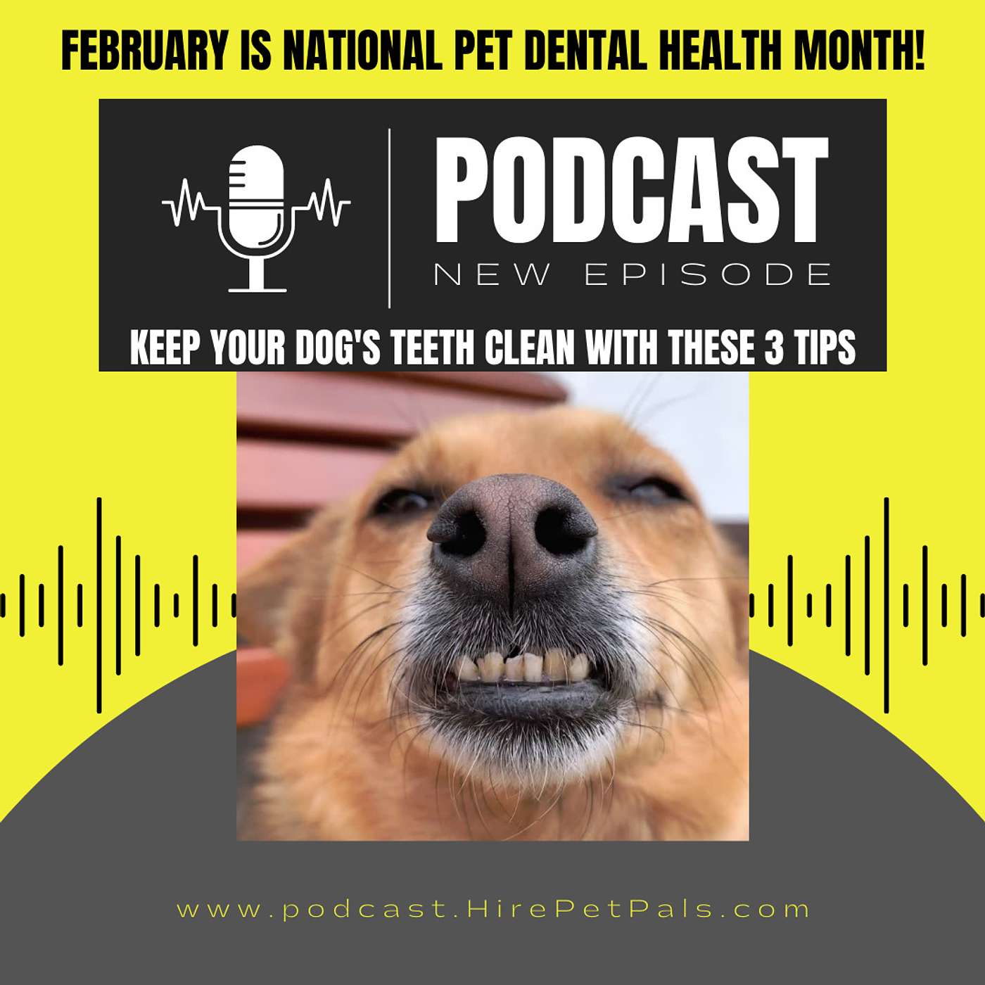 Pet Pals Bark & Learn