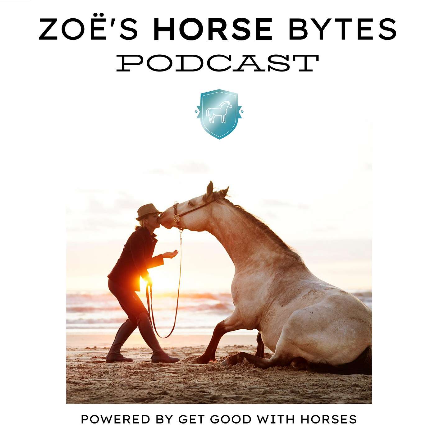 34. Top 10 tips to get good at bonding with your horse episode artwork