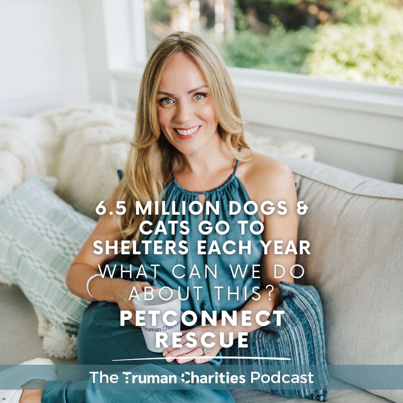 6.5 Million Dogs & Cats Go To Shelters Each Year; What Can We Do About This? | PetConnect Rescue Ep. 78 episode artwork