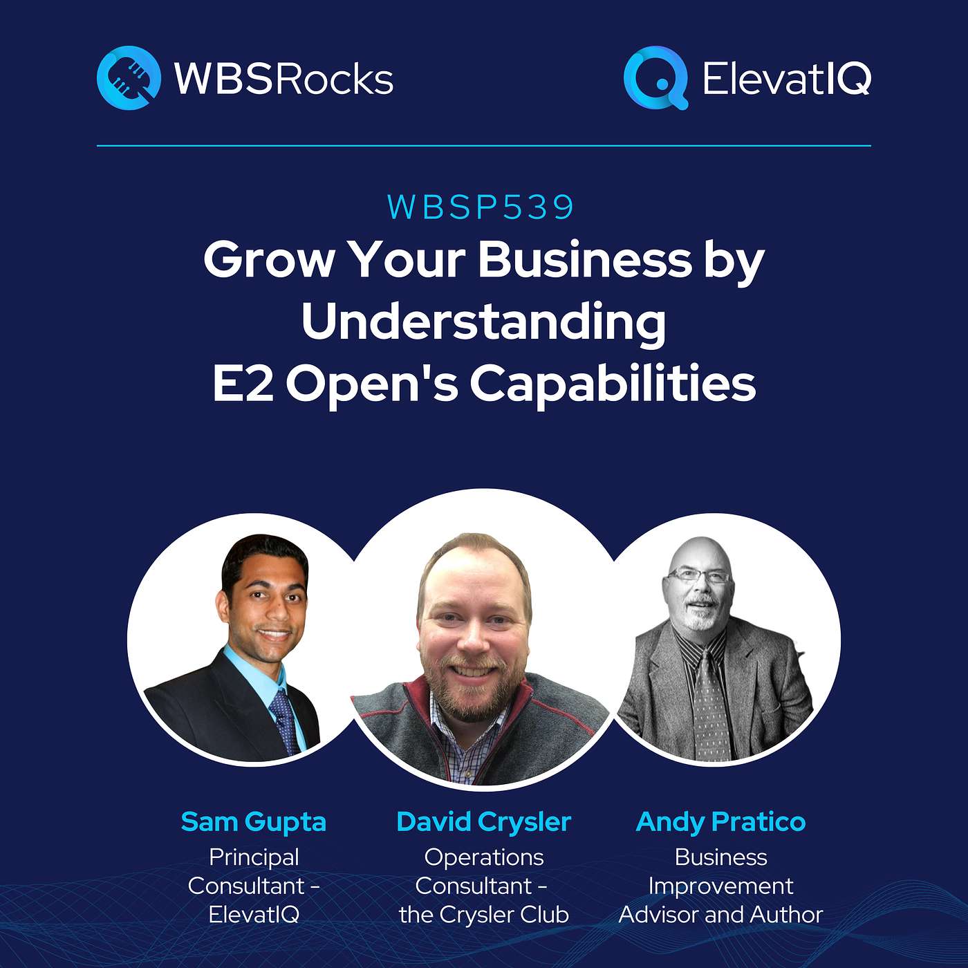 WBSRocks: Business Growth with Enterprise Software and Digital Transformation
