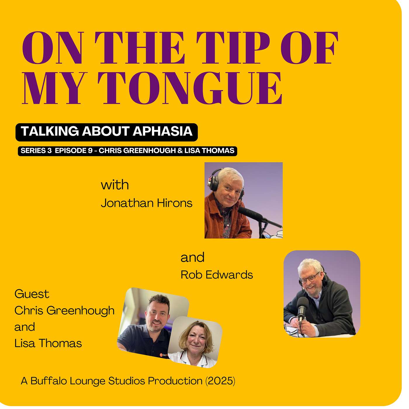 Understanding Aphasia: Personal Stories and Community Support Understanding Aphasia: Personal Stories and Community Support