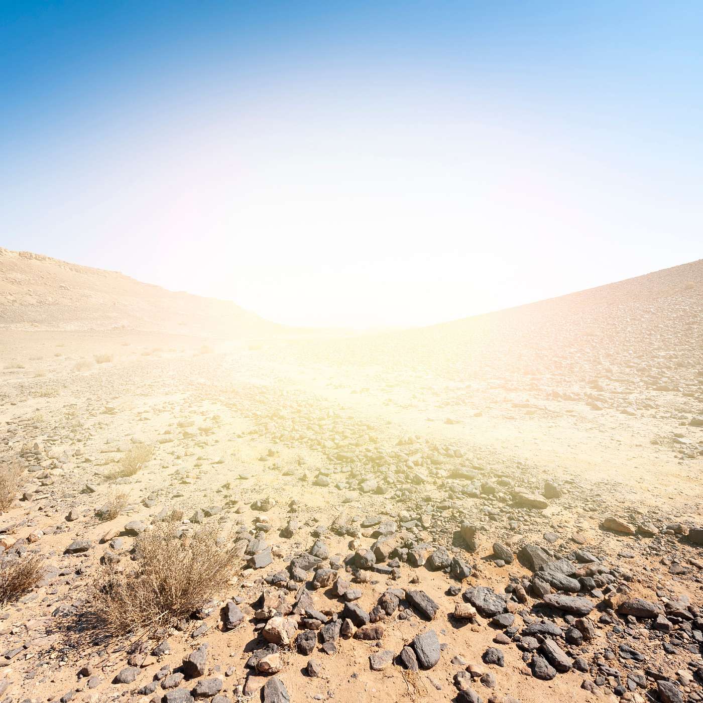 The Sun Stood Still The Sun Stood Still