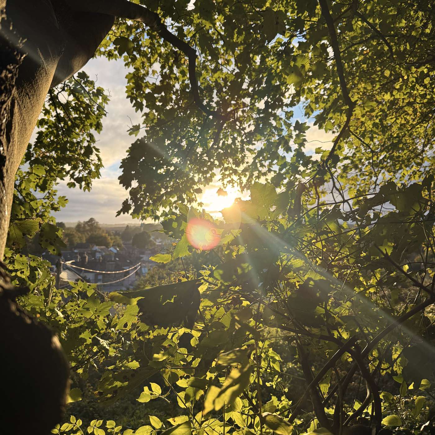 Three Men (and a 🐕) out of their Boat; a Medley of Saints; accompanied by Jackdaws and Robins