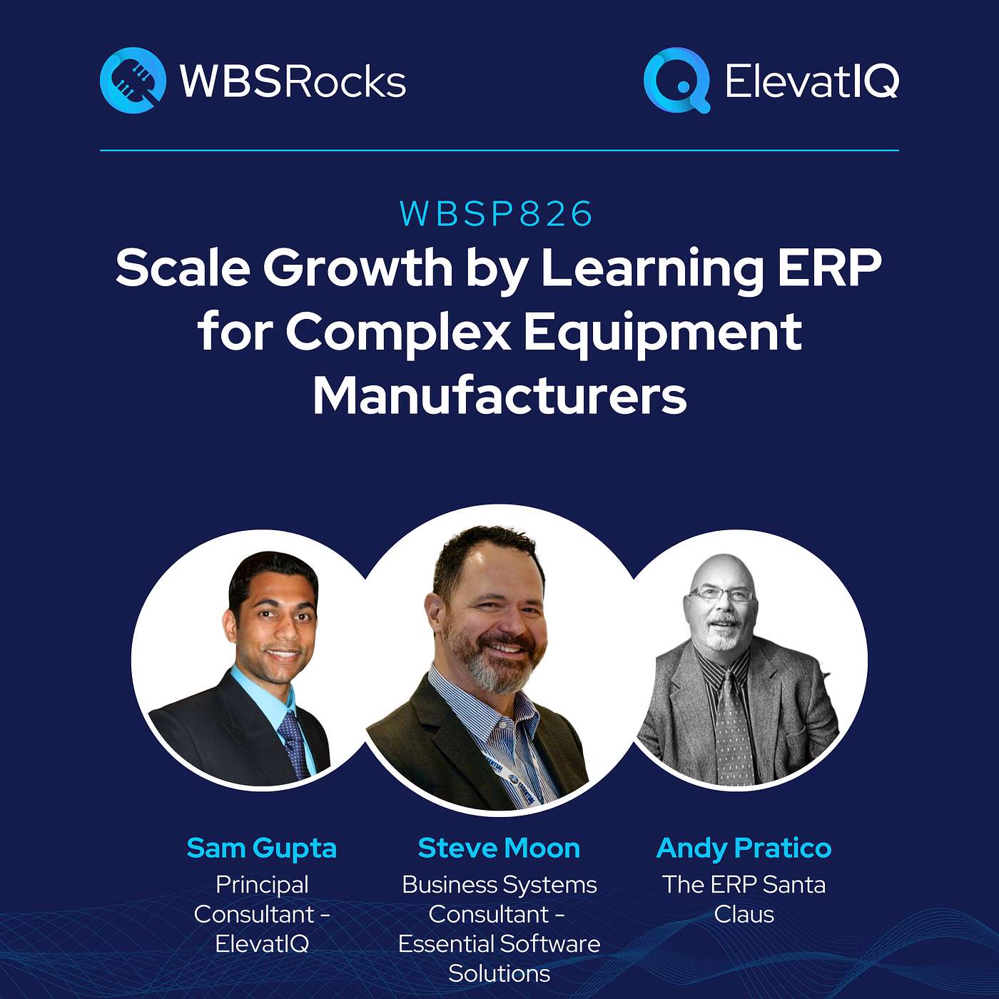 WBSP826: Scale Growth by Learning ERP for Complex Equipment Manufacturers: Why Selection Fails and How to Fix It w/ Steve Moon