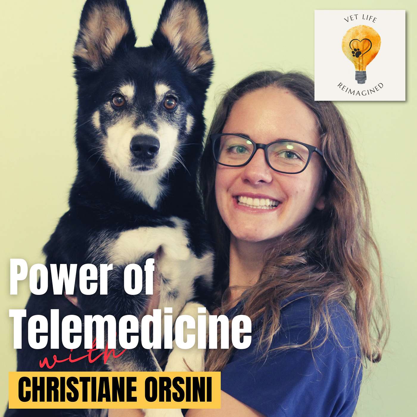 Skeptic to Advocate: Telemedicine's Impact on Veterinary Care with Dr. Christiane Orsini" episode artwork