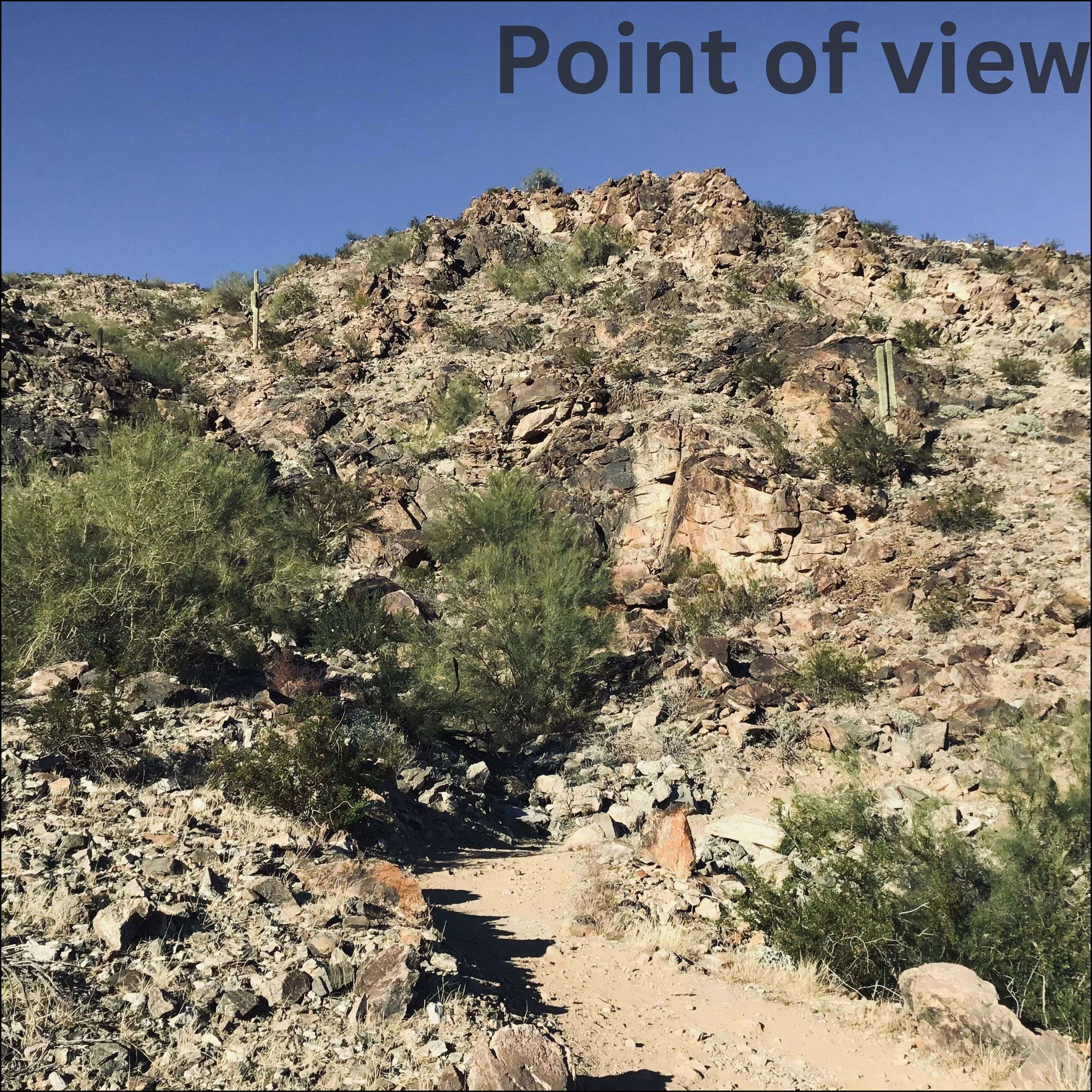 Point of View