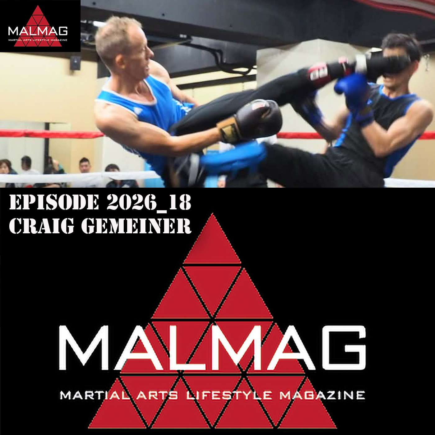 The Martial Arts Lifestyle Podcast