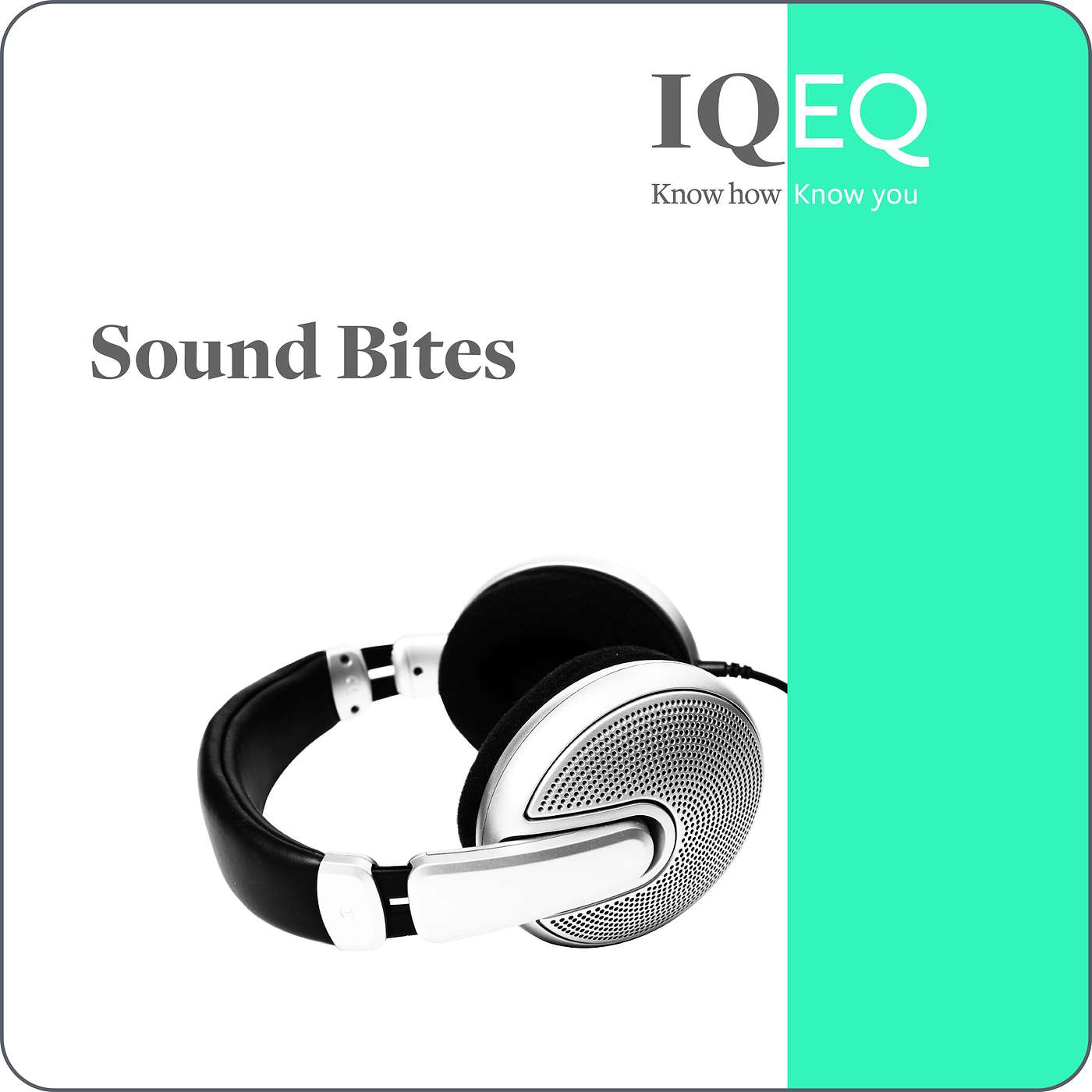 IQ-EQ Crossroads 2021 – The rise and rise of private capital
