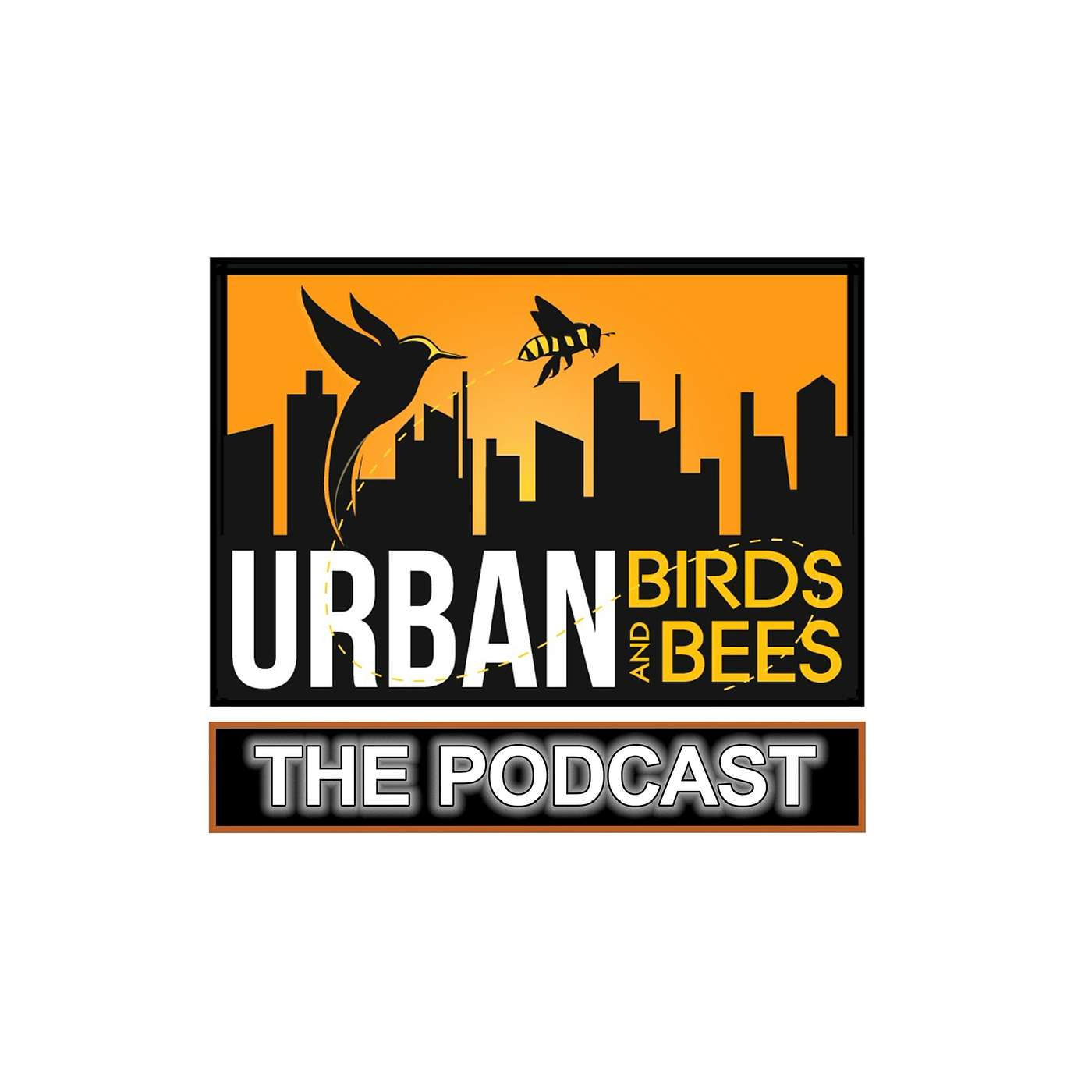 Urban Birds & Bees