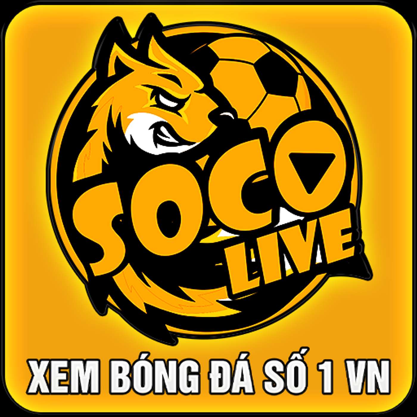 ThangLongPodcast