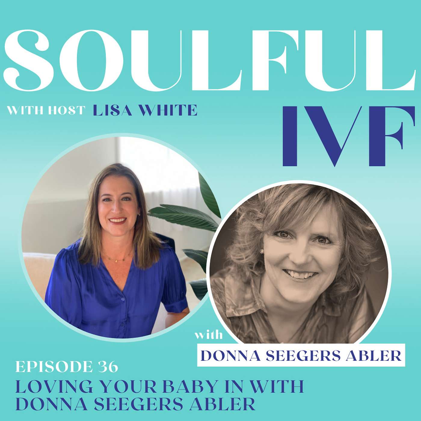 Loving Your Baby In w/ Author and OT, Donna Seegers Abler (Ep: 36) episode artwork