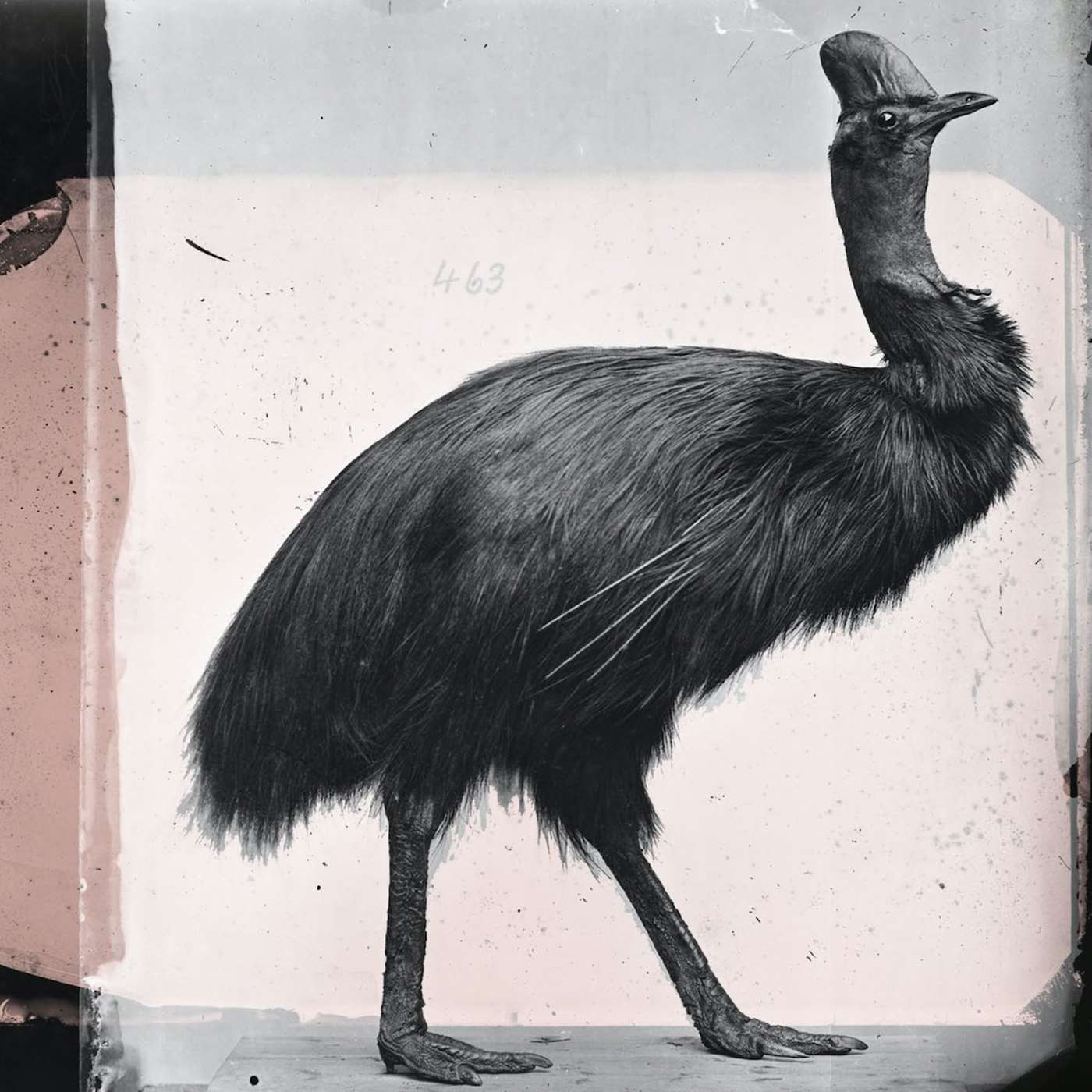 Good Reading Podcast