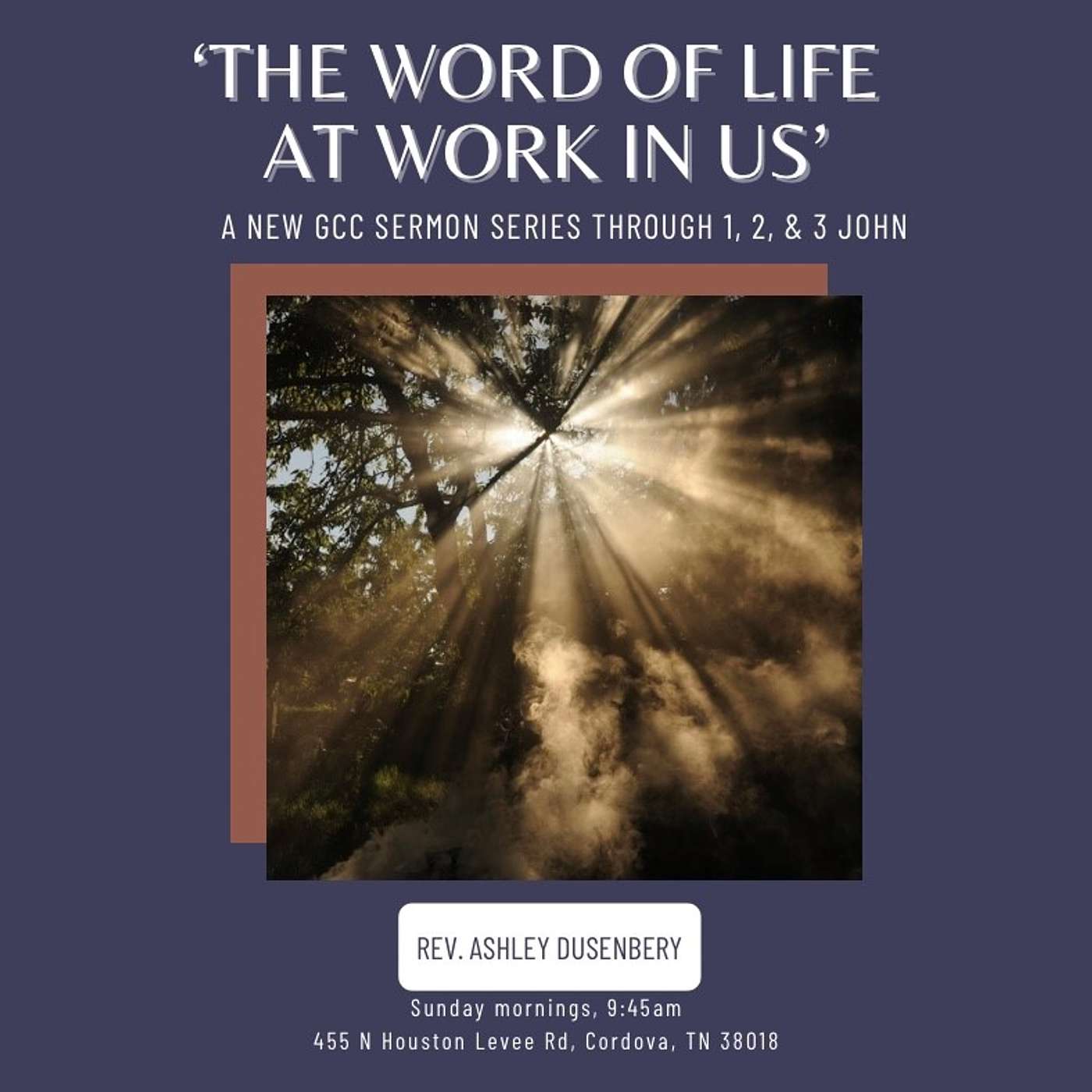 Joy In The Word Of Life - 1 John 1:1-10 - Rev. Ashley Dusenbery episode artwork