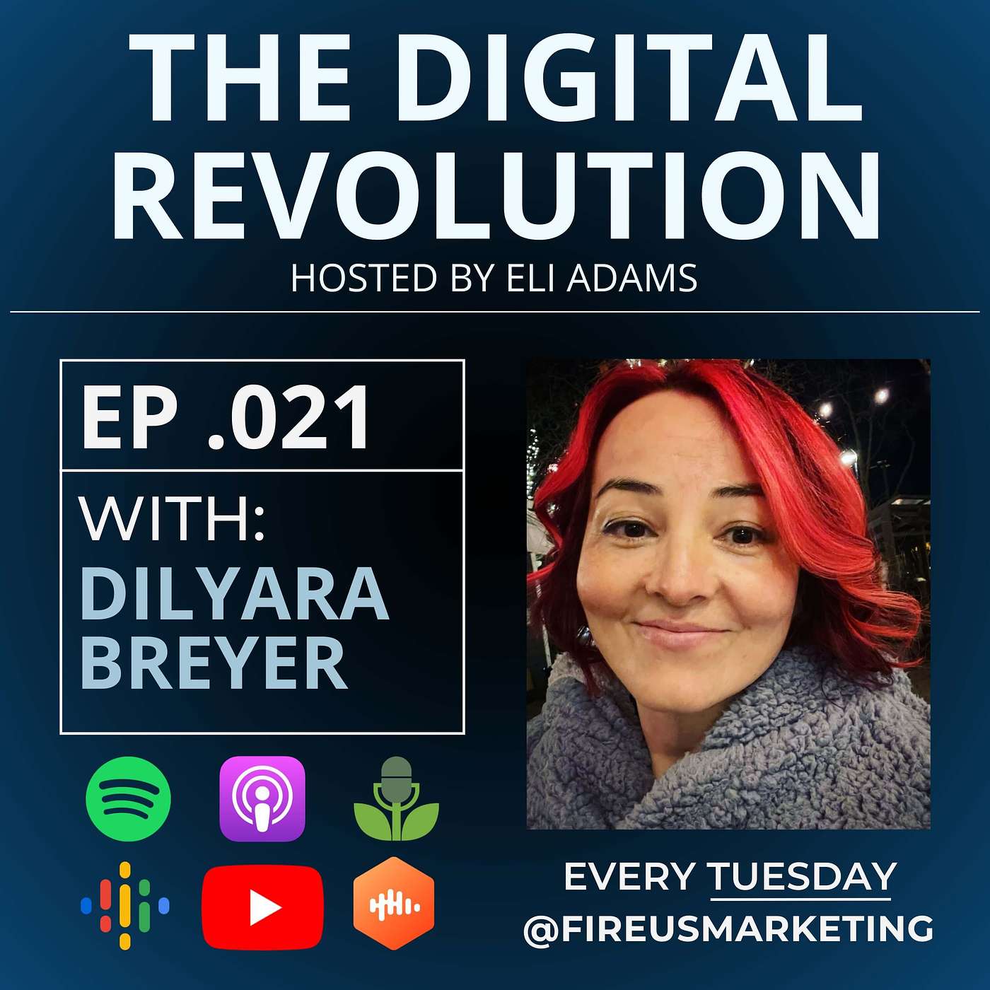 The Digital Revolution Podcast - With Eli Adams