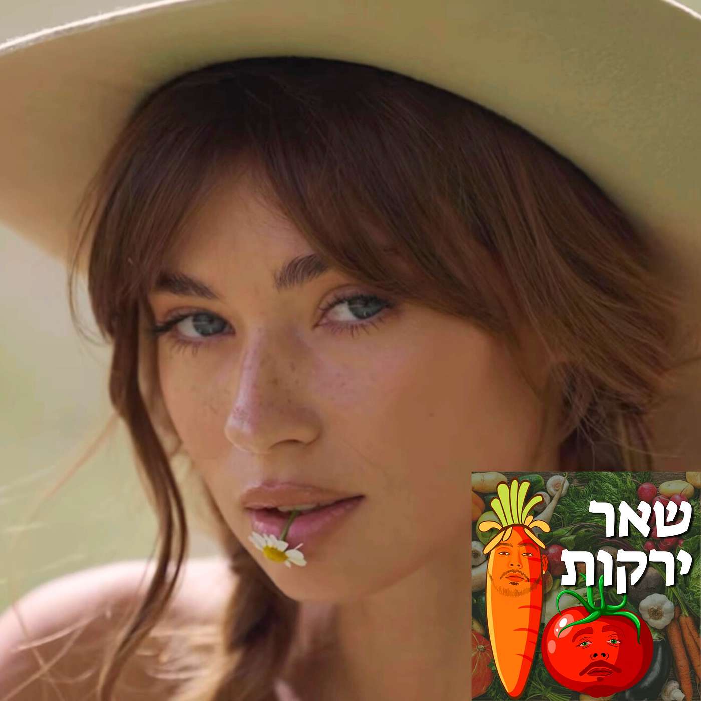 גלגולים קודמים, חוגגים חגים, שניר וטל מקנאים | שאר ירקות פרק 53