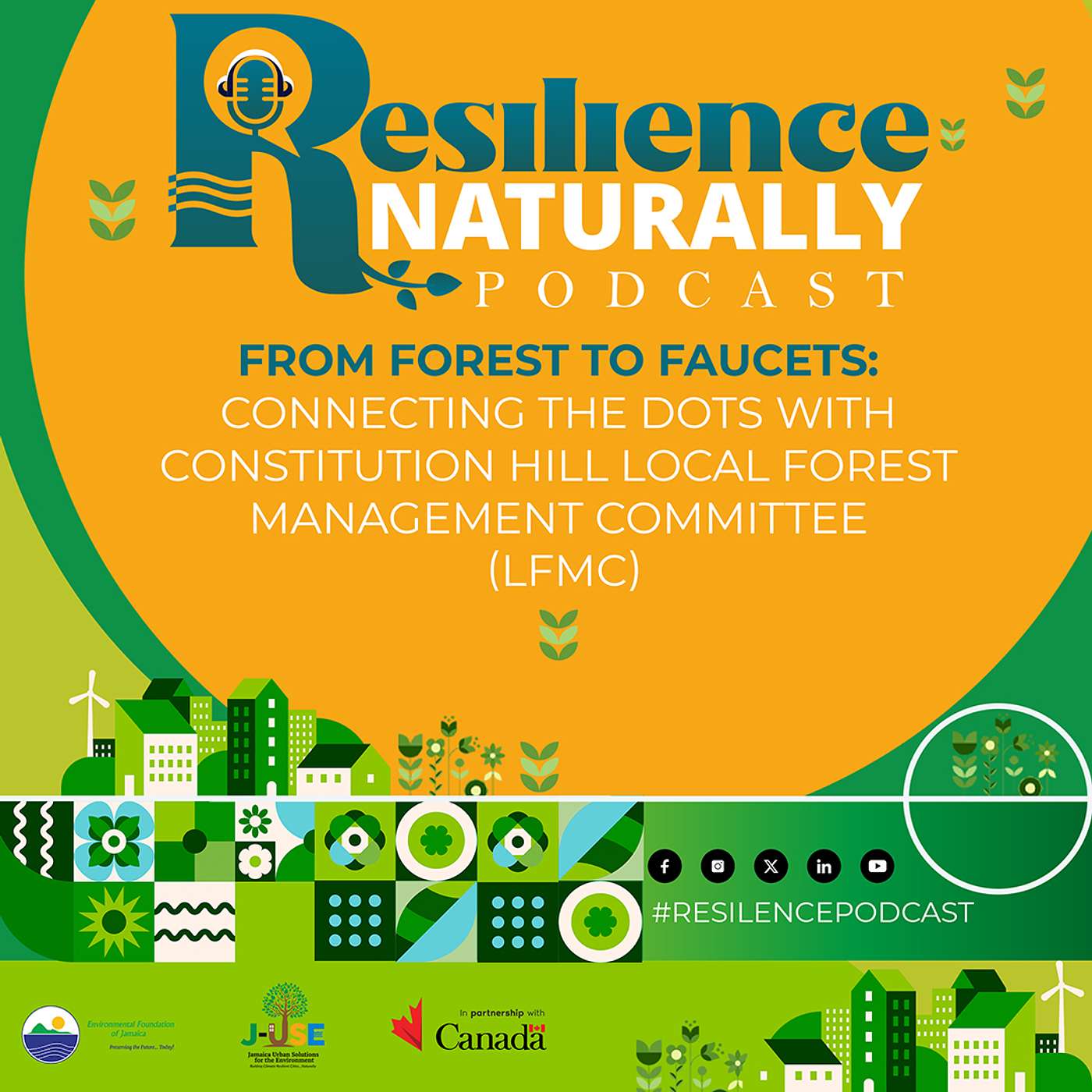 From Forest to Faucets: Connecting the dots with Constitution Hill Local Forest Management Committee (LFMC)