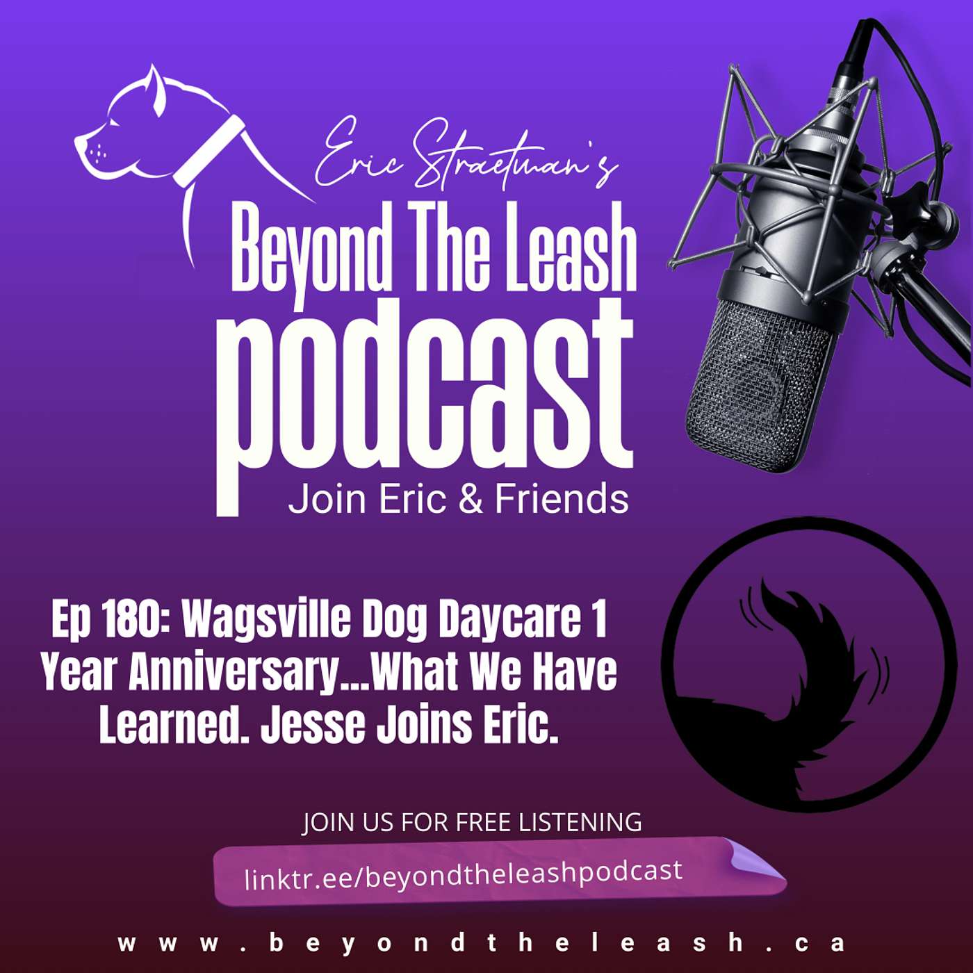 Ep 180: Wagsville dog daycare 1 year anniversary...what we have learned.