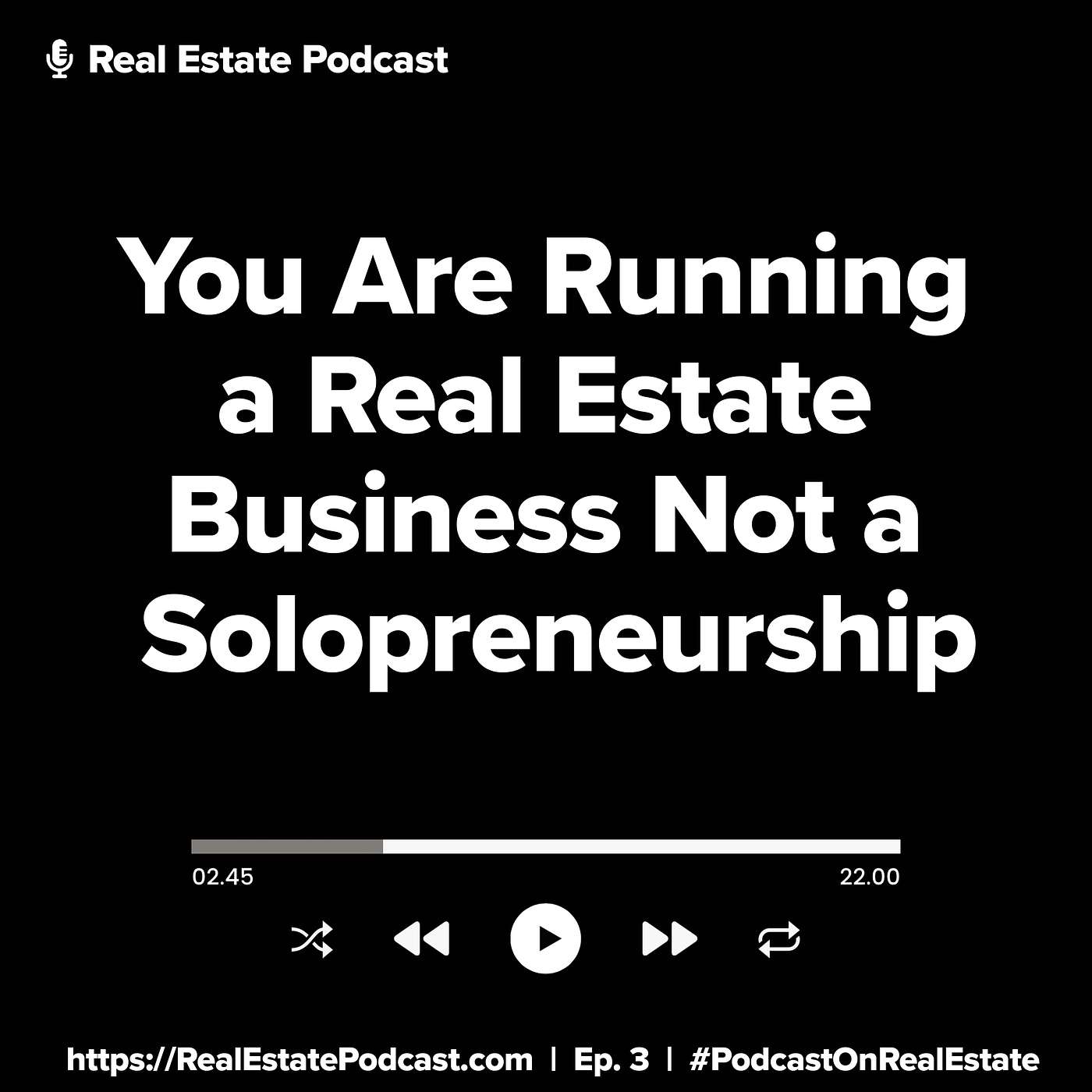 You Are Running a Real Estate Business Not a Solopreneurship You Are Running a Real Estate Business Not a Solopreneurship