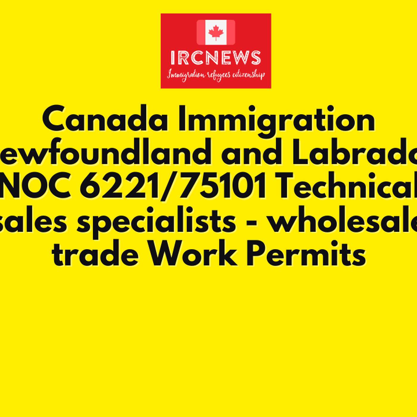 Canada Immigration Newfoundland and Labrador NOC 6221/75101 Technical sales specialists - wholesale trade Work Permits episode artwork