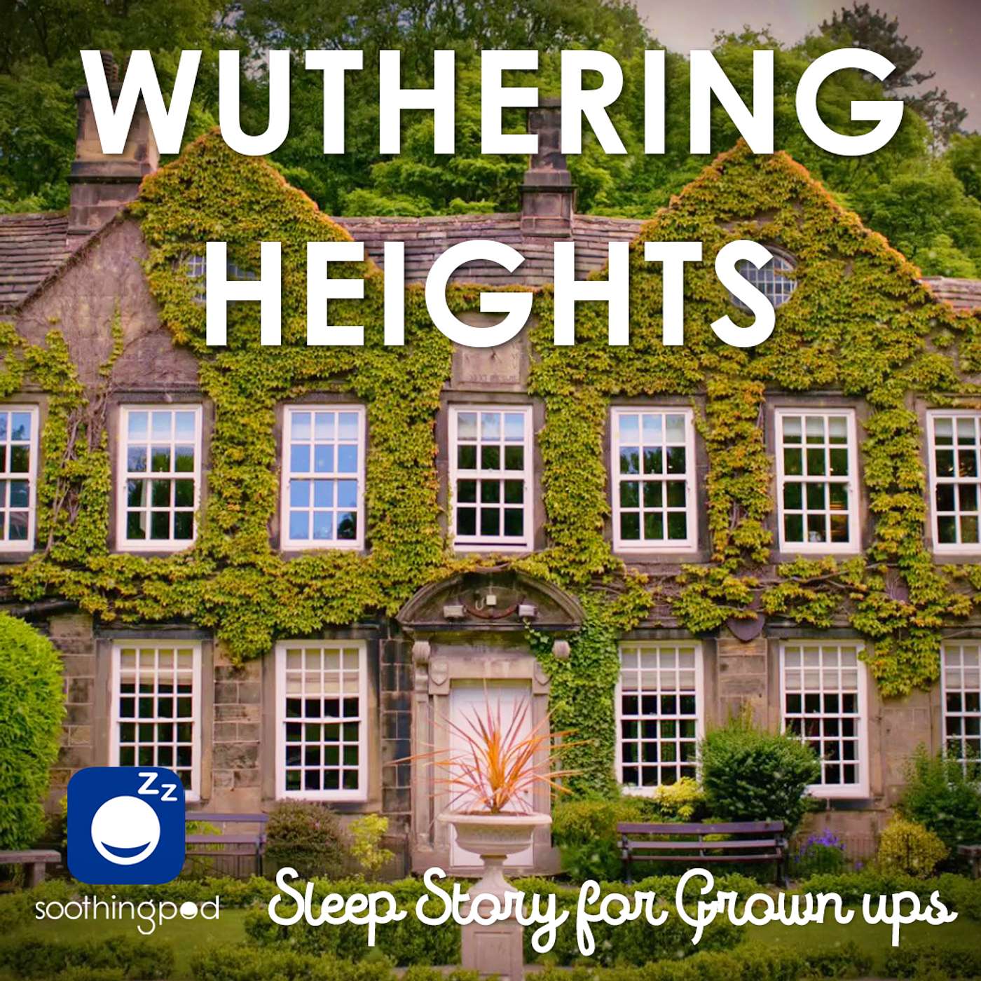 Wuthering Heights | Romantic Sleep Story | Classic Book Sleep Stories