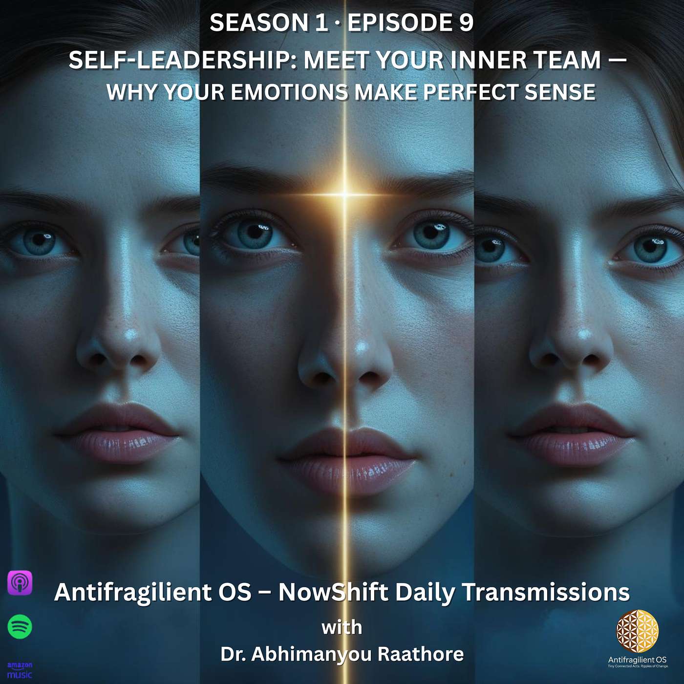 Self-Leadership: Meet Your Inner Team — Why Your Emotions Make Perfect Sense | NowShift August 06, 2025