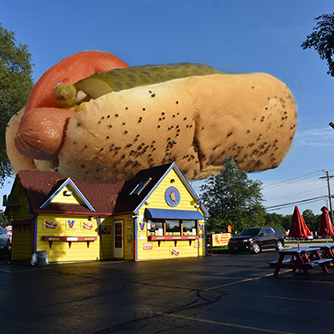 Fergy & Dave Too Good Photographers