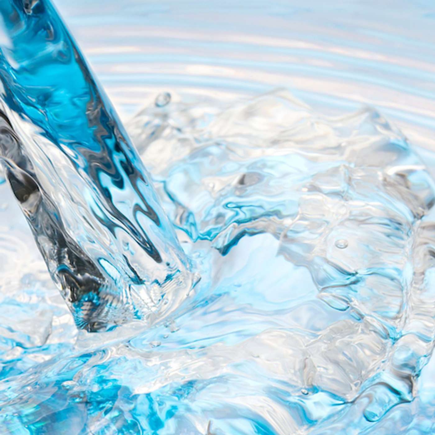 Westminster Talking the Text