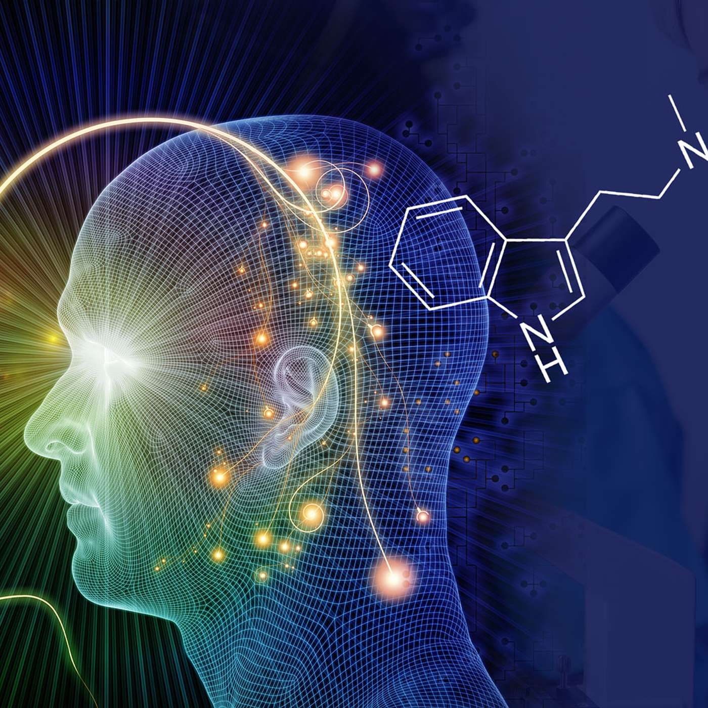 Kundalini Awakening, Endogenous DMT, 5-MeO-DMT | John Chavez