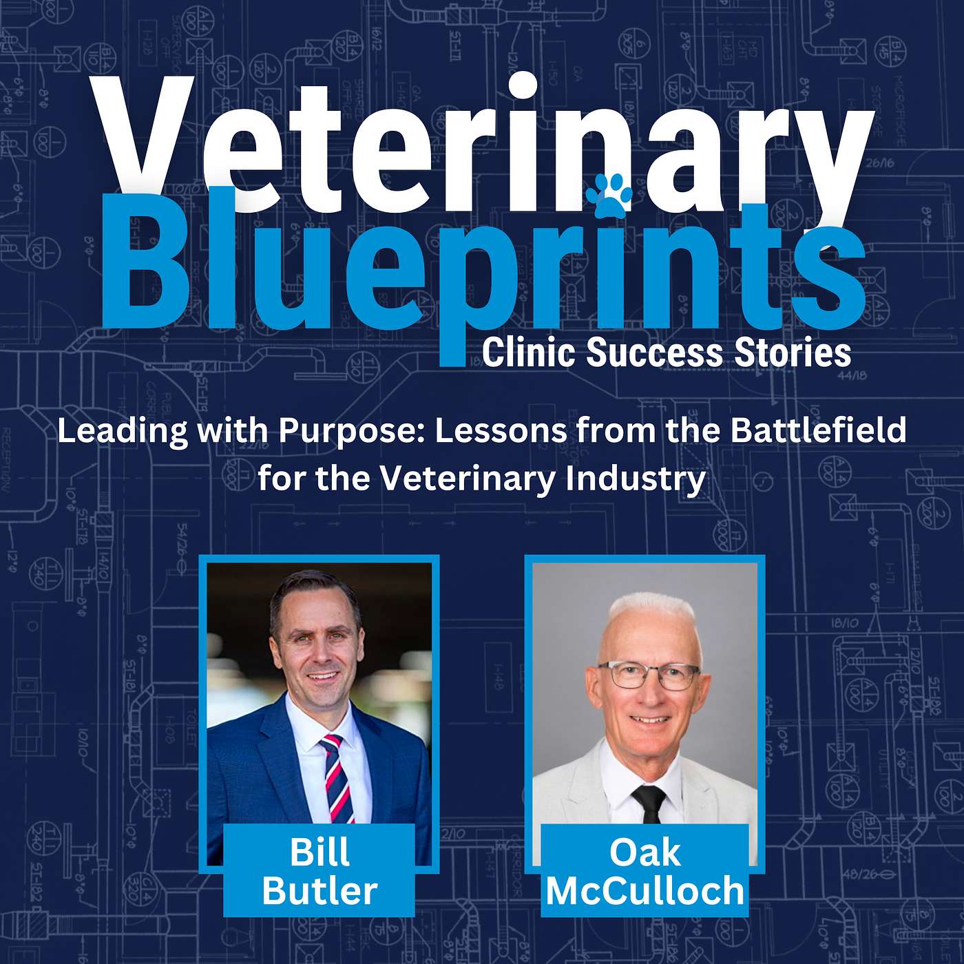 #6 - Leading with Purpose: Lessons from the Military for the Veterinary Industry episode artwork