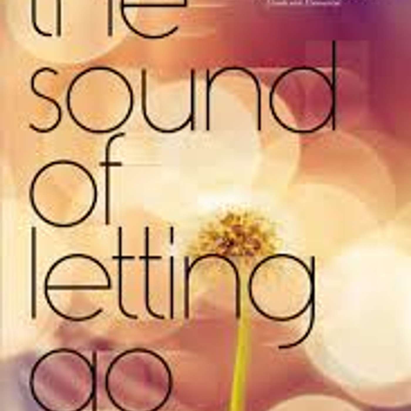 The Sound of Letting Go by Stasia Ward Kehoe (Novel in Verse)