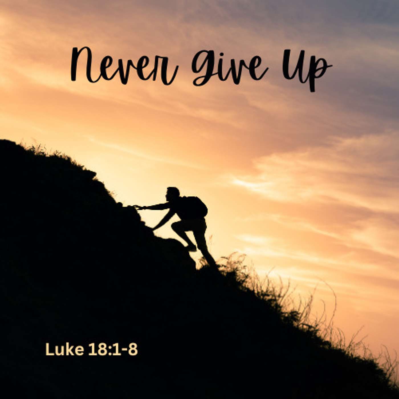 Never Give Up