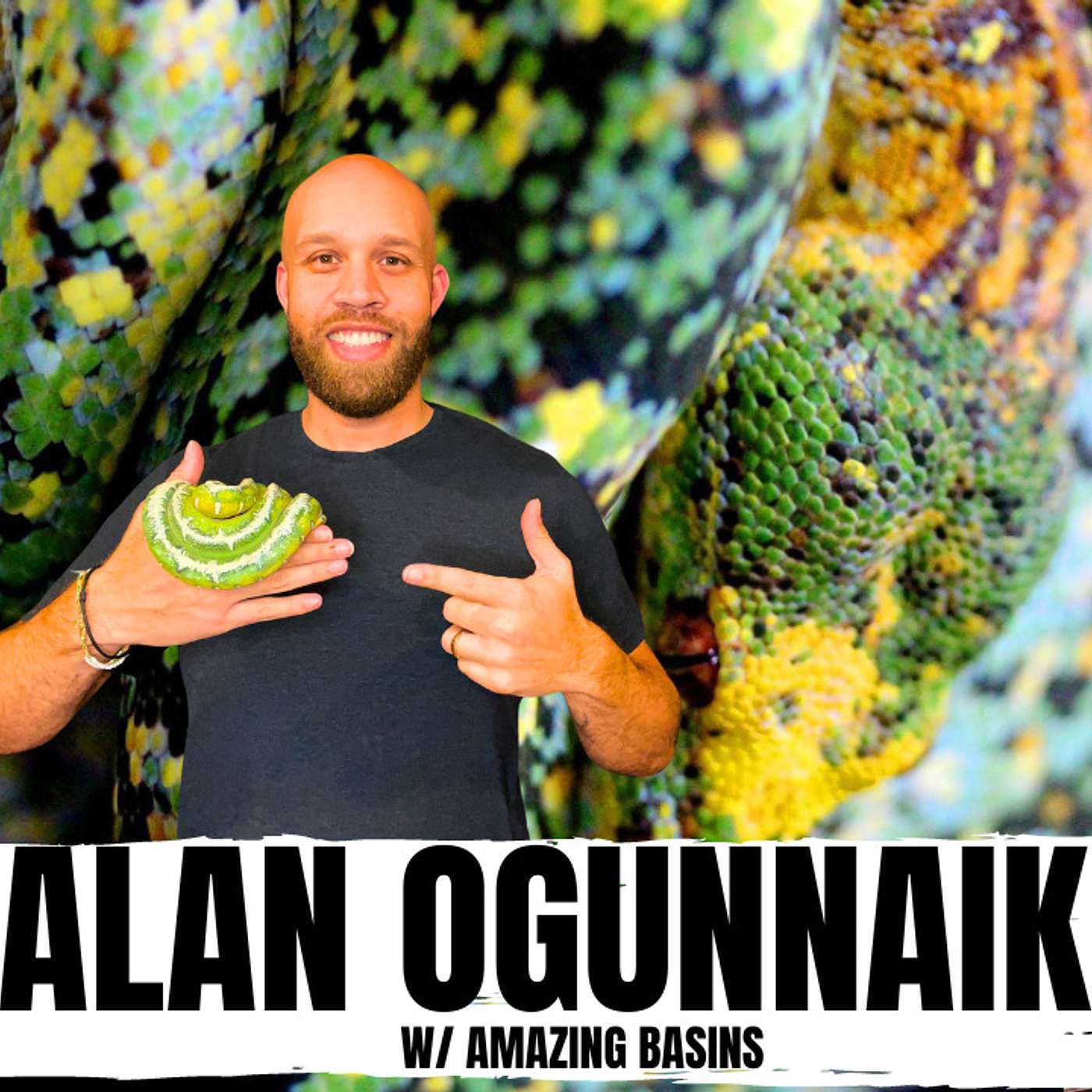 The Up's & Down's When Breeding Amazon Basin Emerald Tree Boas | All In The Tree Tuesday