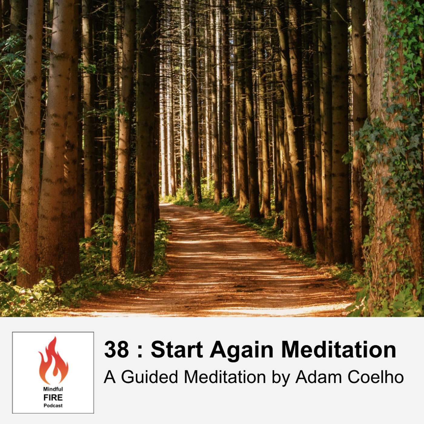 38 : Start Again Meditation