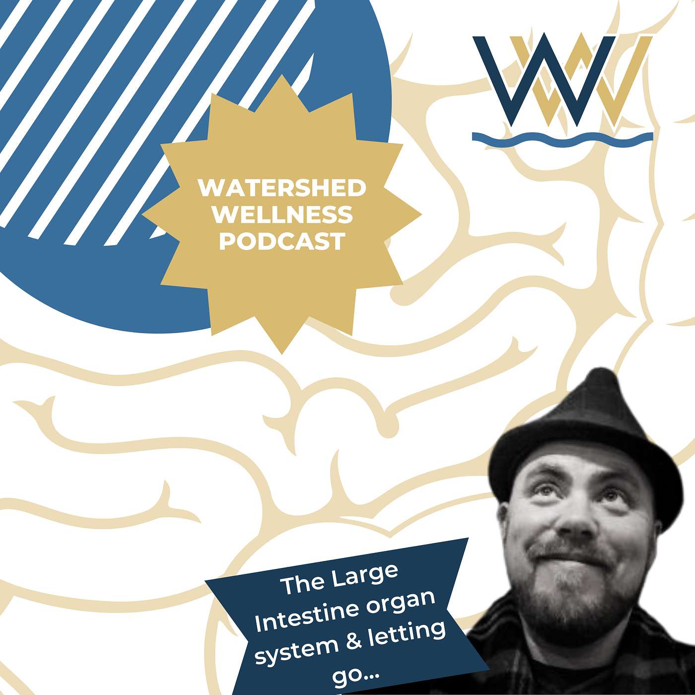 The Large Intestine organ system & letting go