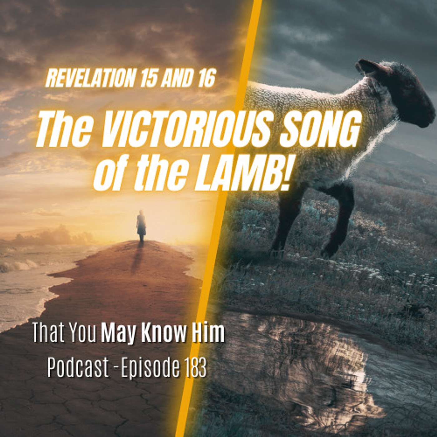 Revelation 15-16: The Victorious Song of the Lamb! - Episode 183